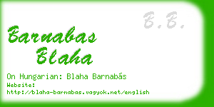 barnabas blaha business card